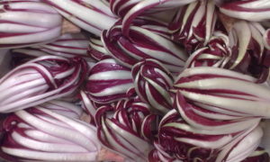 radicchio rosso