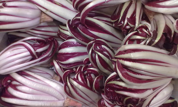 Il radicchio di Treviso…storia, curiosità e un buon risotto