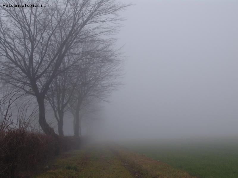 La malinconica poesia della nebbia