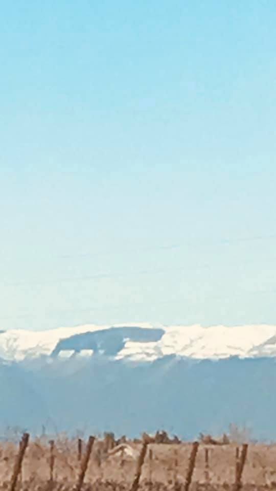 Lo hai mai visto l'”ippopotamo” sul Monte Cesen?